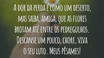 A dor da perda é como um deserto, mas saiba, amiga, que as flores brotam até entre os pedregulhos. Descanse um pouco, chore, viva o seu luto. Meus pêsames!