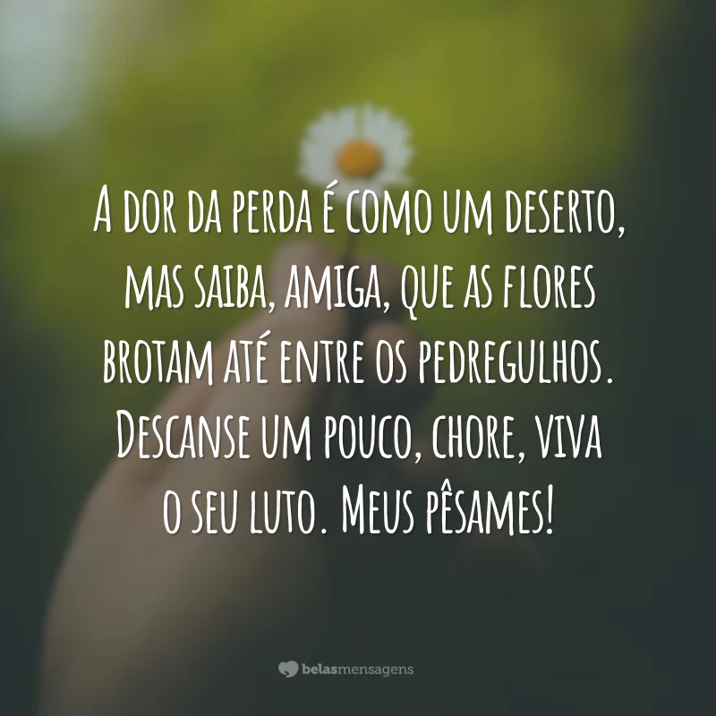 A dor da perda é como um deserto, mas saiba, amiga, que as flores brotam até entre os pedregulhos. Descanse um pouco, chore, viva o seu luto. Meus pêsames!