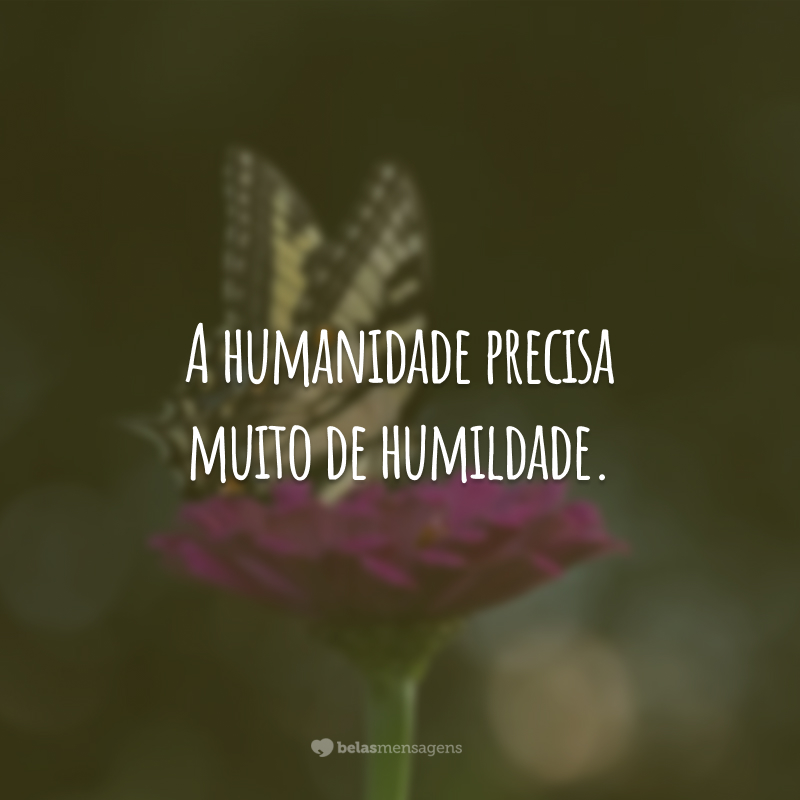 A humanidade precisa muito de humildade.