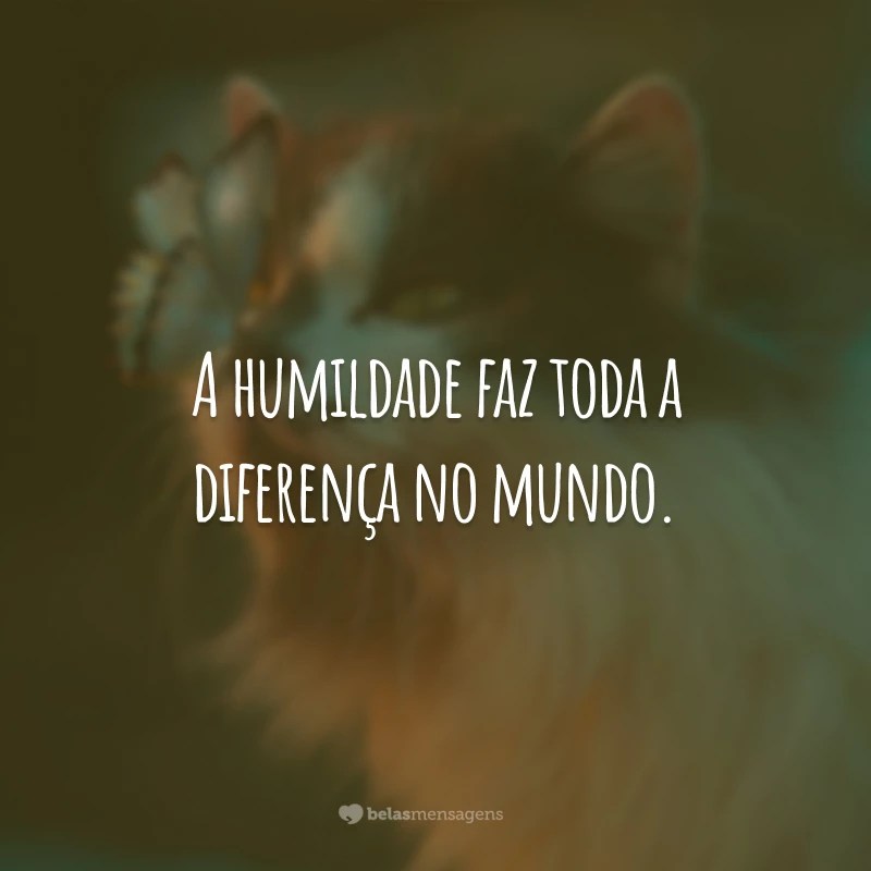 A humildade faz toda a diferença no mundo.