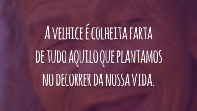 A velhice é colheita farta de tudo aquilo que plantamos no decorrer da nossa vida.