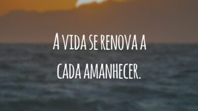 A vida se renova a cada amanhecer.