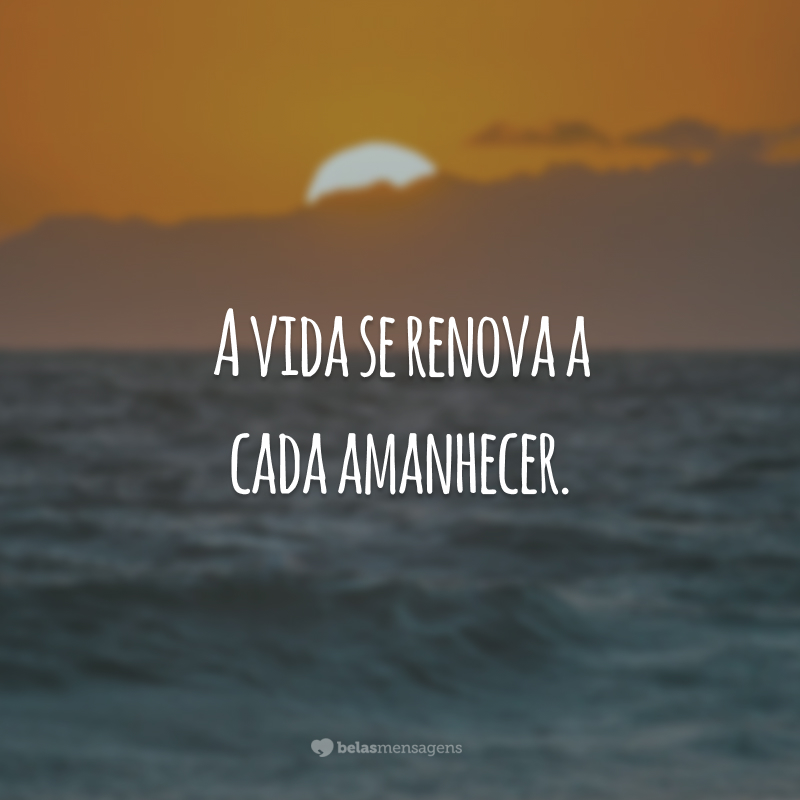 A vida se renova a cada amanhecer.