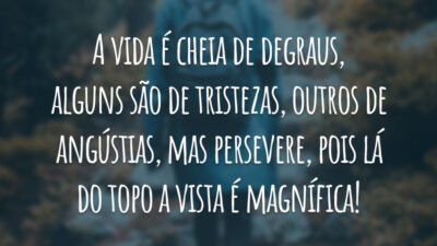 A vida é cheia de degraus, alguns são de tristezas, outros de angústias, mas persevere, pois lá do topo a vista é magnífica!