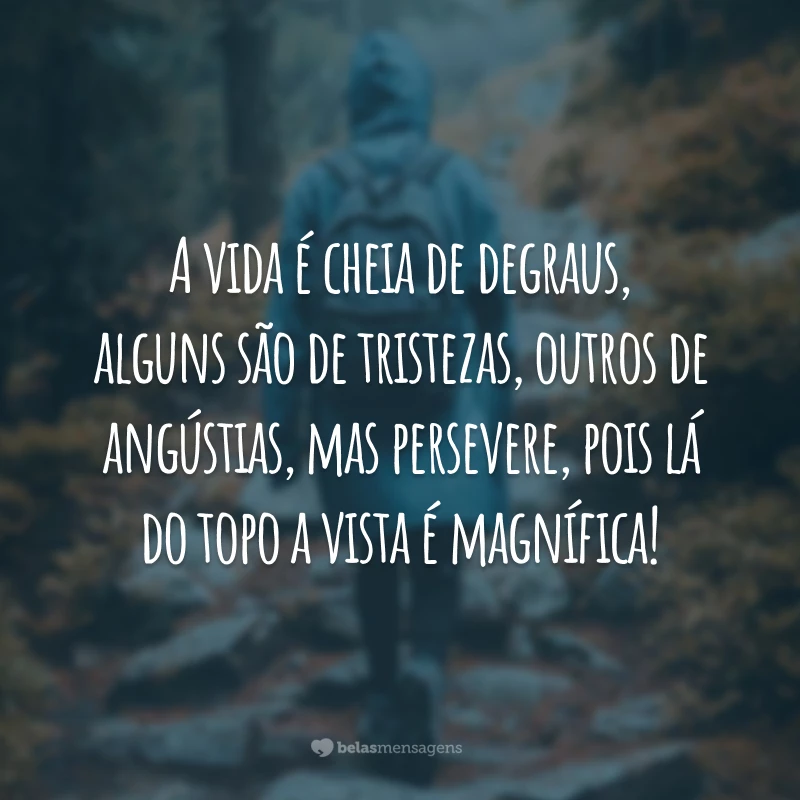 A vida é cheia de degraus, alguns são de tristezas, outros de angústias, mas persevere, pois lá do topo a vista é magnífica!