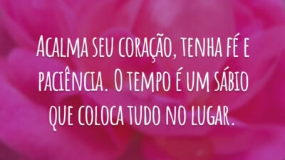 Acalma seu coração, tenha fé e paciência. O tempo é um sábio que coloca tudo no lugar.