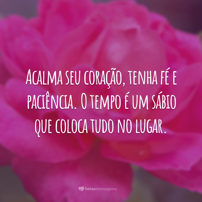 Acalma seu coração, tenha fé e paciência. O tempo é um sábio que coloca tudo no lugar.