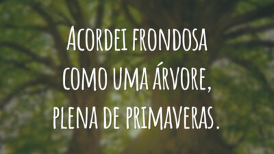 Acordei frondosa como uma árvore, plena de primaveras.