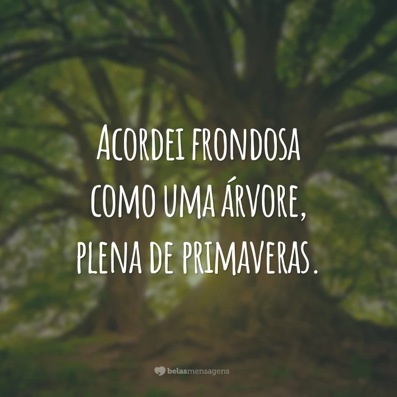 Acordei frondosa como uma árvore, plena de primaveras.