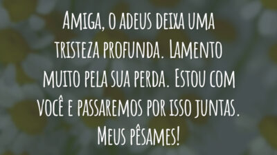 Amiga, o adeus deixa uma tristeza profunda. Lamento muito pela sua perda. Estou com você e passaremos por isso juntas. Meus pêsames!