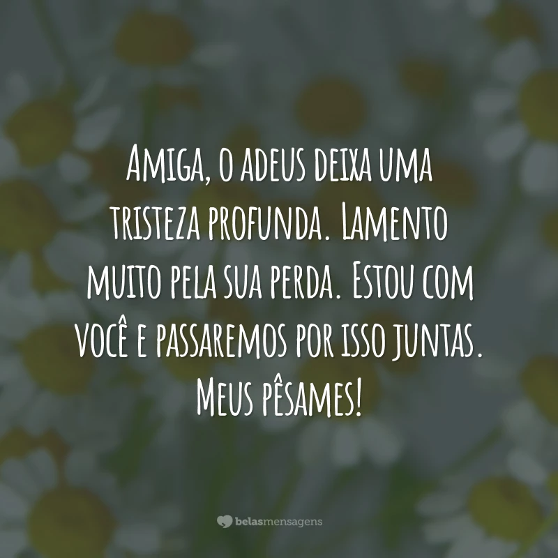 Amiga, o adeus deixa uma tristeza profunda. Lamento muito pela sua perda. Estou com você e passaremos por isso juntas. Meus pêsames!