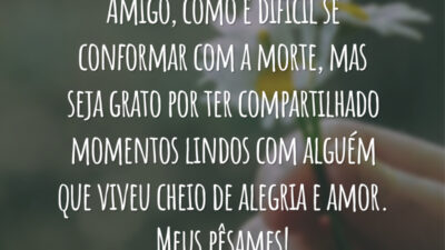 Amigo, como é difícil se conformar com a morte, mas seja grato por ter compartilhado momentos lindos com alguém que viveu cheio de alegria e amor. Meus pêsames!