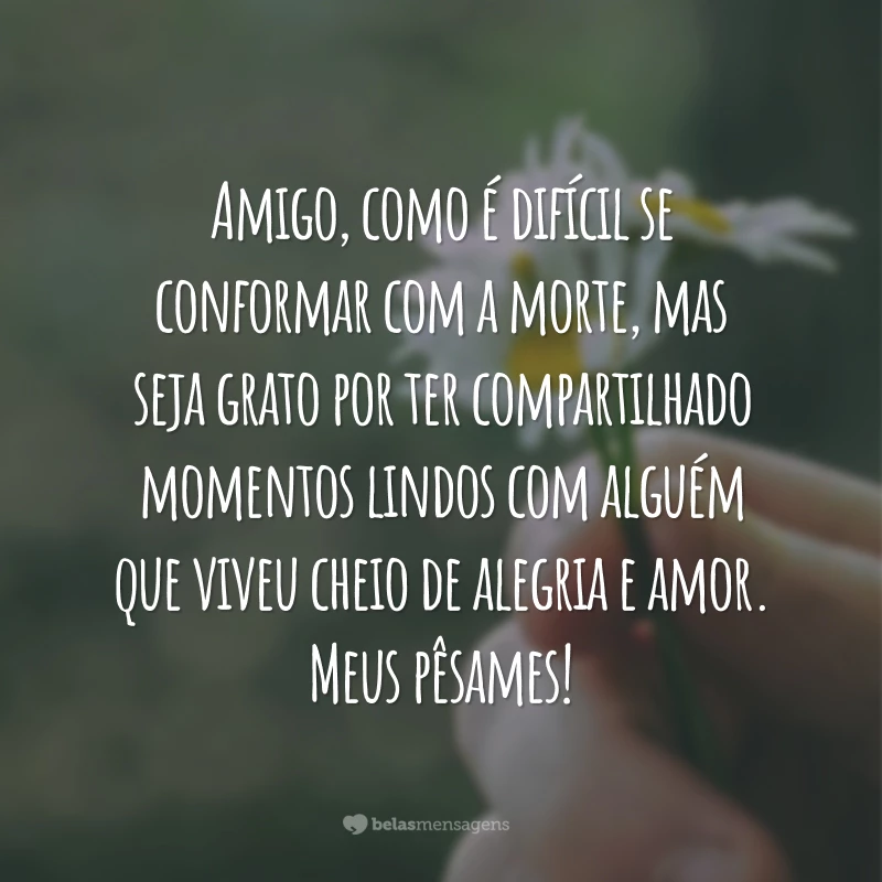 Amigo, como é difícil se conformar com a morte, mas seja grato por ter compartilhado momentos lindos com alguém que viveu cheio de alegria e amor. Meus pêsames!