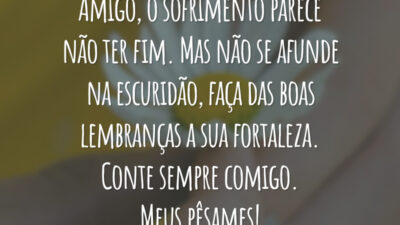 Amigo, o sofrimento parece não ter fim. Mas não se afunde na escuridão, faça das boas lembranças a sua fortaleza. Conte sempre comigo. Meus pêsames!