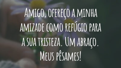 Amigo, ofereço a minha amizade como refúgio para a sua tristeza. Um abraço. Meus pêsames!