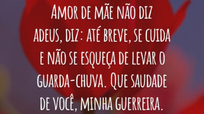 Amor de mãe não diz adeus, diz: até breve, se cuida e não se esqueça de levar o guarda-chuva. Que saudade de você, minha guerreira.