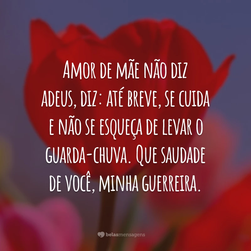 Amor de mãe não diz adeus, diz: até breve, se cuida e não se esqueça de levar o guarda-chuva. Que saudade de você, minha guerreira.