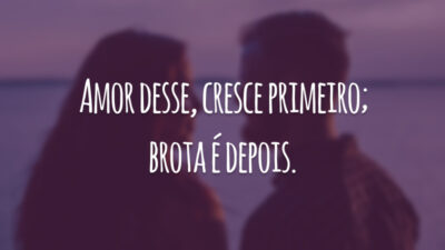 Amor desse, cresce primeiro; brota é depois.