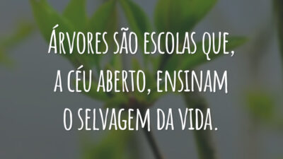 Árvores são escolas que, a céu aberto, ensinam o selvagem da vida.
