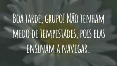 Boa tarde, grupo! Não tenham medo de tempestades, pois elas ensinam a navegar.