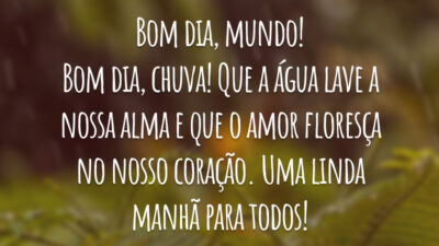 Bom dia, mundo! Bom dia, chuva! Que a água lave a nossa alma e que o amor floresça no nosso coração. Uma linda manhã para todos!