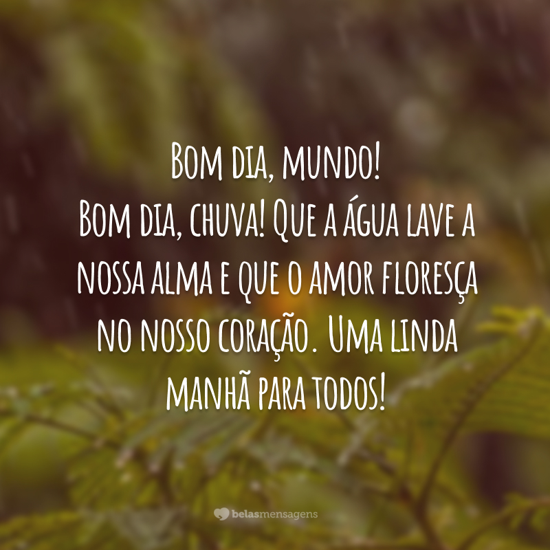 Bom dia, mundo! Bom dia, chuva! Que a água lave a nossa alma e que o amor floresça no nosso coração. Uma linda manhã para todos!