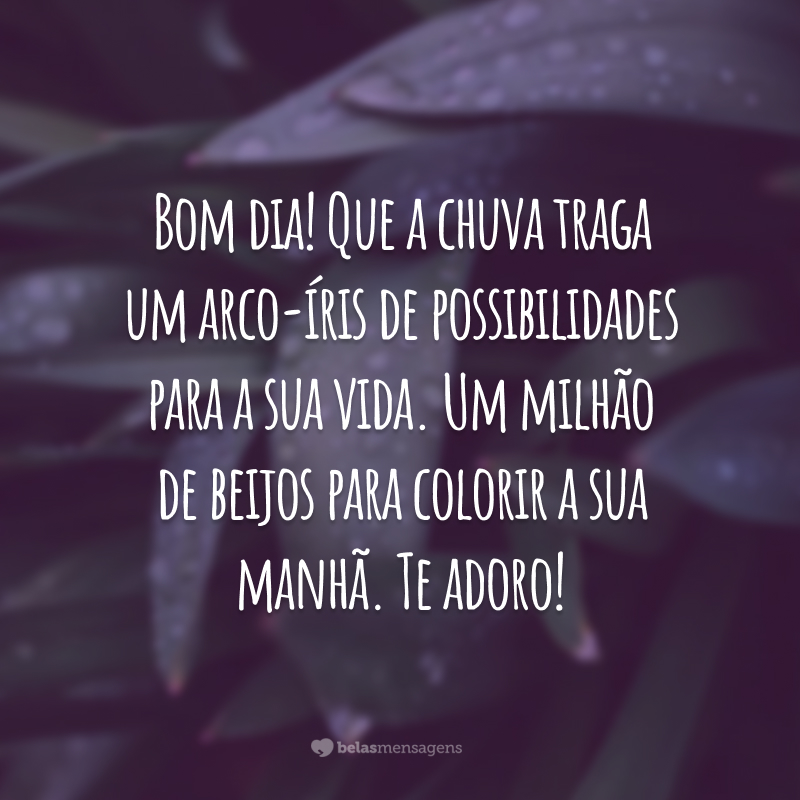 Bom dia! Que a chuva traga um arco-íris de possibilidades para a sua vida. Um milhão de beijos para colorir a sua manhã. Te adoro!