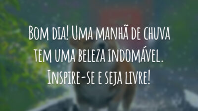 Bom dia! Uma manhã de chuva tem uma beleza indomável. Inspire-se e seja livre!