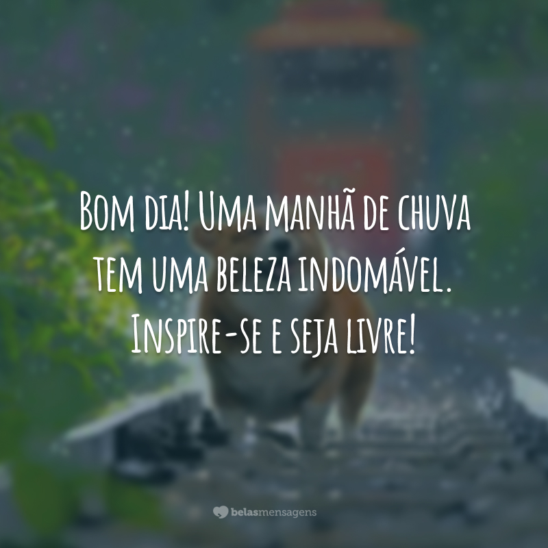 Bom dia! Uma manhã de chuva tem uma beleza indomável. Inspire-se e seja livre!