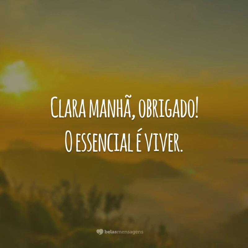 Clara manhã, obrigado! O essencial é viver.