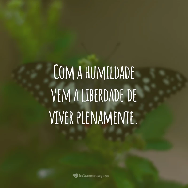 Com a humildade vem a liberdade de viver plenamente.