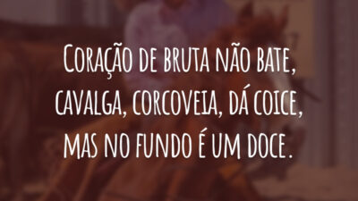 Coração de bruta não bate, cavalga, corcoveia, dá coice, mas no fundo é um doce.