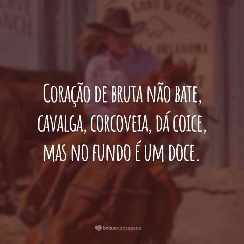 Coração de bruta não bate, cavalga, corcoveia, dá coice, mas no fundo é um doce.