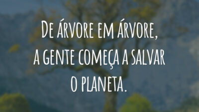 De árvore em árvore, a gente começa a salvar o planeta.
