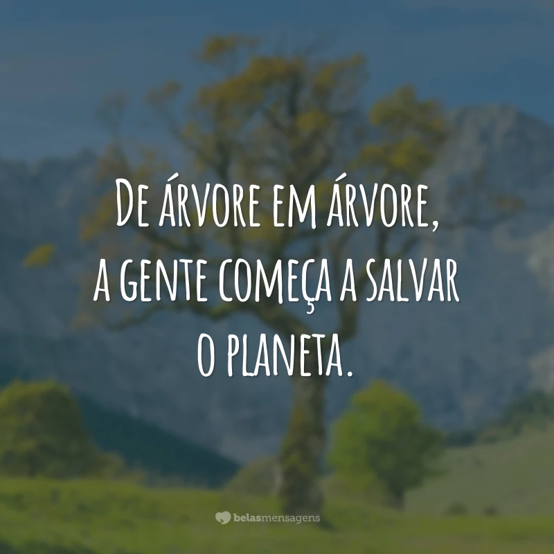 De árvore em árvore, a gente começa a salvar o planeta.