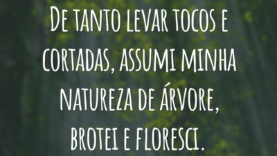 De tanto levar tocos e cortadas, assumi minha natureza de árvore, brotei e floresci.