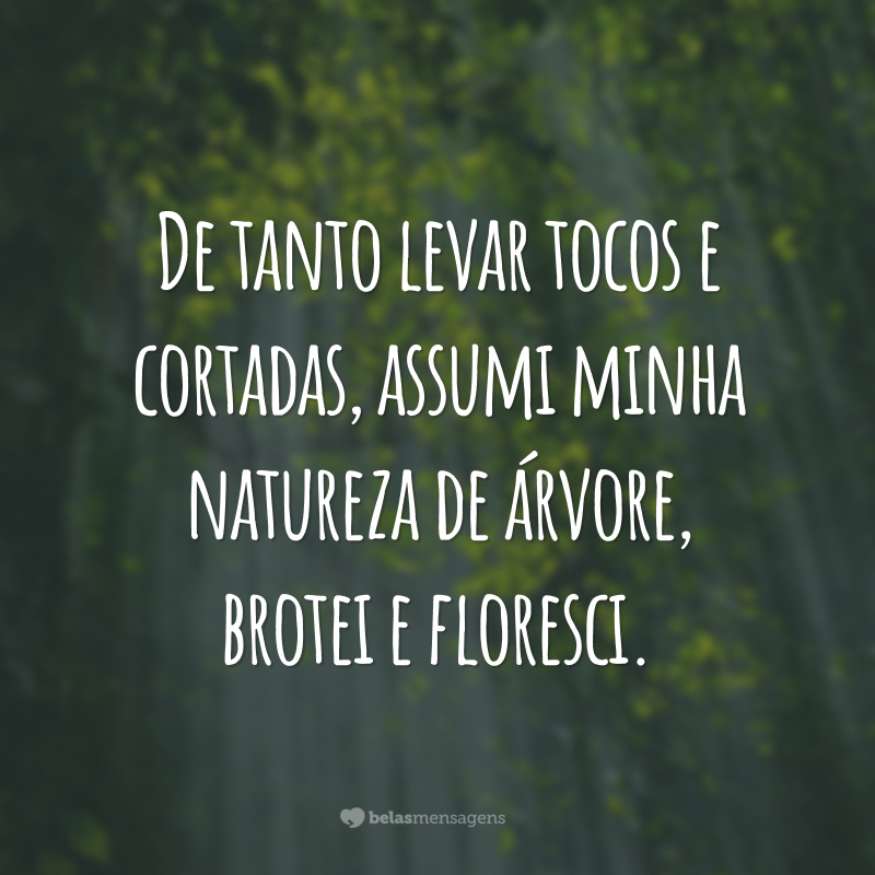 De tanto levar tocos e cortadas, assumi minha natureza de árvore, brotei e floresci.