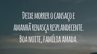 Deixe morrer o cansaço e amanhã renasça resplandecente. Boa noite, família amada.