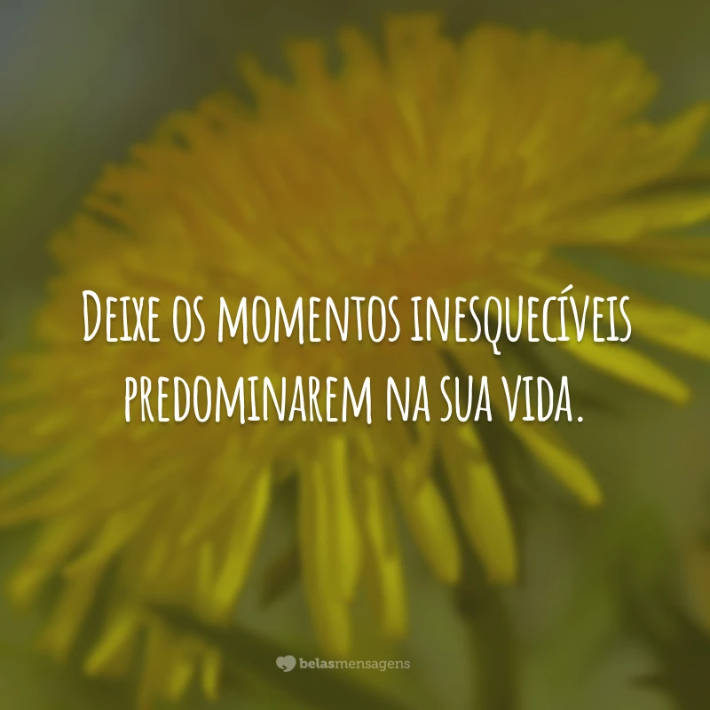 Deixe os momentos inesquecíveis predominarem na sua vida.