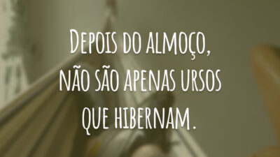 Depois do almoço, não são apenas ursos que hibernam.