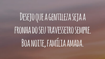 Desejo que a gentileza seja a fronha do seu travesseiro sempre. Boa noite, família amada.