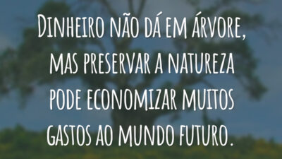 Dinheiro não dá em árvore, mas preservar a natureza pode economizar muitos gastos ao mundo futuro.