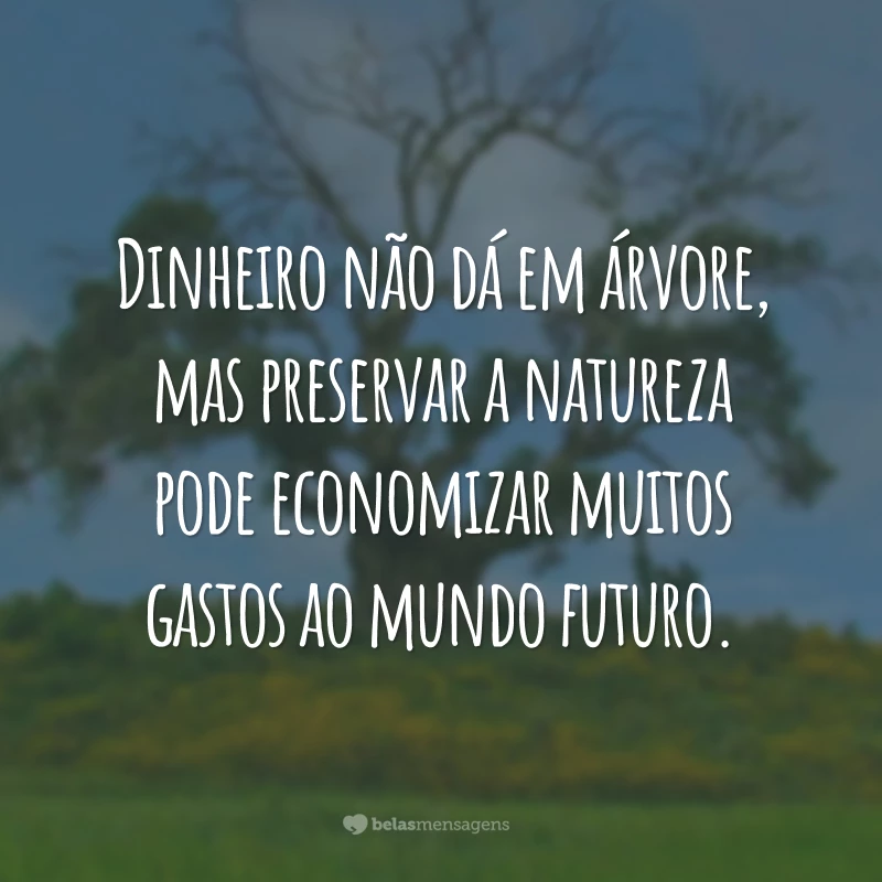 Dinheiro não dá em árvore, mas preservar a natureza pode economizar muitos gastos ao mundo futuro.