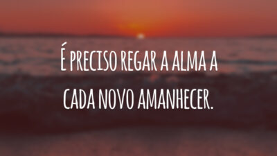 É preciso regar a alma a cada novo amanhecer.