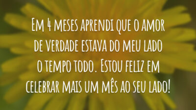 Em 4 meses aprendi que o amor de verdade estava do meu lado o tempo todo. Estou feliz em celebrar mais um mês ao seu lado!