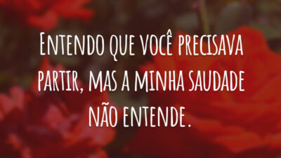 Entendo que você precisava partir, mas a minha saudade não entende.