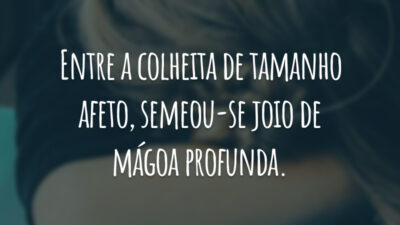 Entre a colheita de tamanho afeto, semeou-se joio de mágoa profunda.