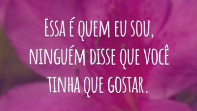 Essa é quem eu sou, ninguém disse que você tinha que gostar.