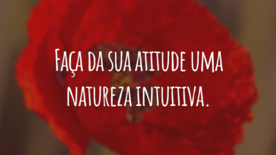 Faça da sua atitude uma natureza intuitiva.