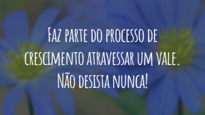 Faz parte do processo de crescimento atravessar um vale. Não desista nunca!